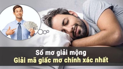 Ý nghĩa giấc mơ nhìn thấy bướm? Mơ thấy bướm phụ nữ đánh con gì?