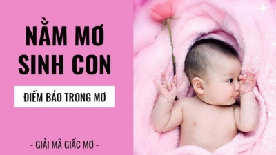 Mơ thấy người lạ đánh con gì? Có may mắn không?