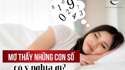 Nằm mơ thấy gội đầu đánh con gì ăn chắc?