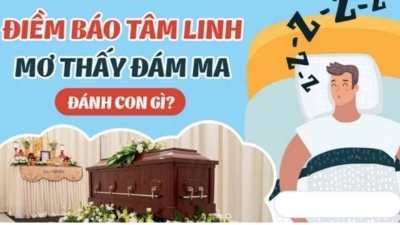 Mơ thấy đánh ghen có ý nghĩa gì? Nên đánh con lô bao nhiêu?