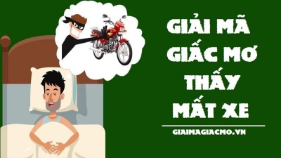 Giải mã: Mơ thấy con dơi đánh số gì chính xác nhất