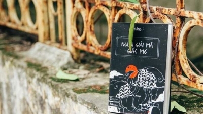 Nằm mơ bắt được chim mang ý nghĩa gì? Nên đánh con gì may mắn