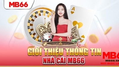 MB66 - Hoàn trả cực sốc đến 50% ba ngày mỗi tháng