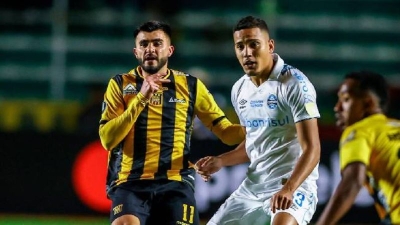 Nhận định, soi kèo Gremio vs Fluminense lúc 05h00 ngày 14/08/2024