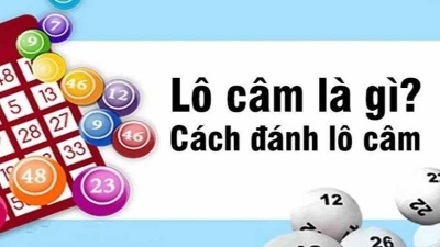 Lô câm là gì? Lô câm hôm sau đánh con gì dễ thắng?